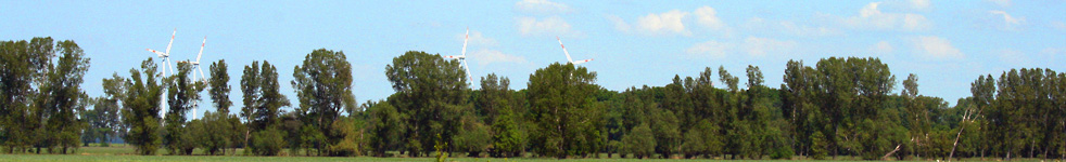 Kr&ouml;beln